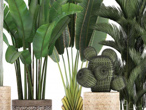 collection of exotic plants 346 3D Model