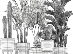 collection of exotic plants 346 Modelo 3D