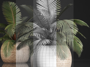 decorative palm tree in the basket 3D मॉडल