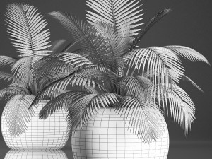 decorative palm tree in the basket 3D मॉडल