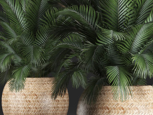 decorative palm tree in a pot 3D Model
