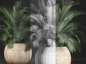 decorative palm tree in a pot 3D Model