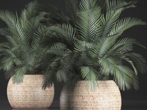 decorative palm tree in a pot 3D Model