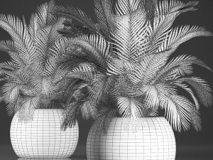 decorative palm tree in a pot 3D Model