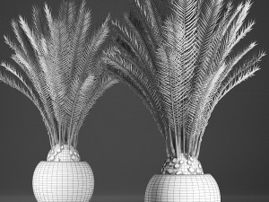 decorative palm tree in a pot date palm Model 3D