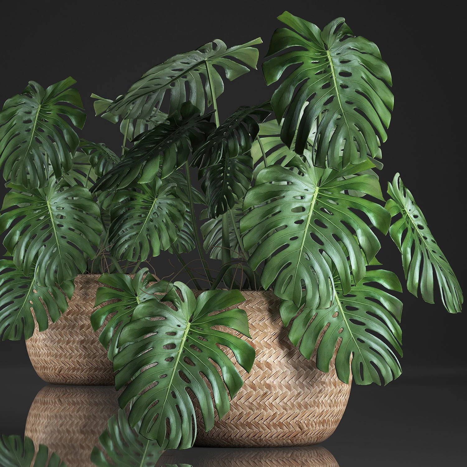 decorative monstera in a pot 3D Model .c4d .max .obj .3ds .fbx .stl .blend 