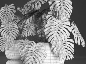 decorative monstera in a pot 3D Model