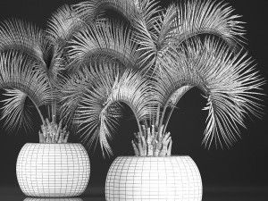 decorative palm tree in a pot 5 3Dモデル