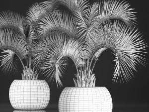 decorative palm tree in a pot 5 3D Model