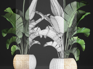 banana palm in a pot 2 Modelo 3D
