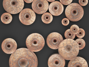 disc wall decor by world menagerie 3Dモデル