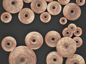 disc wall decor by world menagerie 3D Model