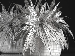 fern in pot 3D Model