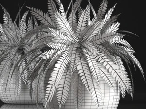 fern in pot 3D Model