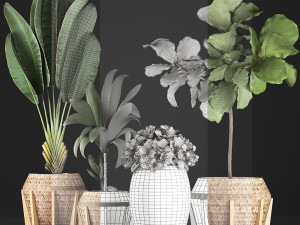 collection of exotic plants 348 3D-Modell