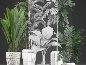 Collection exotic plants 349 3D Model