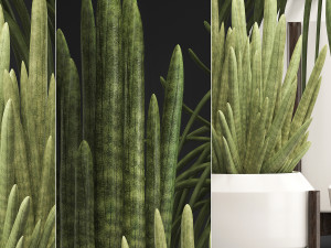 collection of exotic plants sansevieria 3D 模型