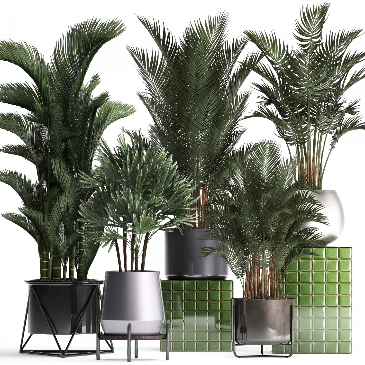 collection of exotic plants 352 3D Model .c4d .max .obj .3ds .fbx .stl .blend 
