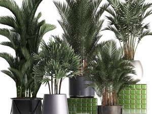 collection of exotic plants 352 3D 모델