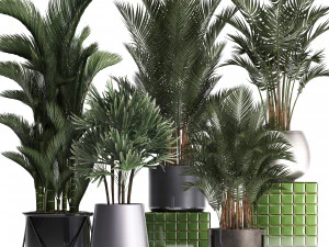 cole&ccedil;&atilde;o de plantas ex&oacute;ticas 352 Modelo 3D