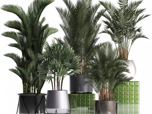 collection of exotic plants 352 Model 3D