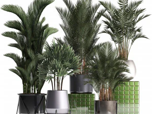 collection of exotic plants 352 3D Model