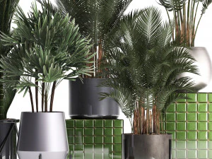collection of exotic plants 352 3D Model