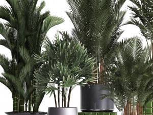 collection of exotic plants 352 Model 3D