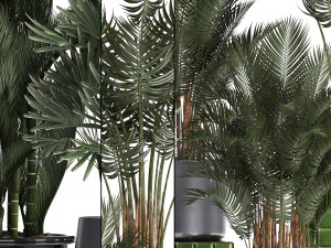 collection of exotic plants 352 3D Model