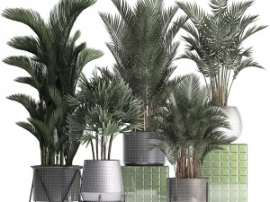 collection of exotic plants 352 3D Model