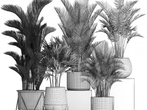 collection of exotic plants 352 3D Model