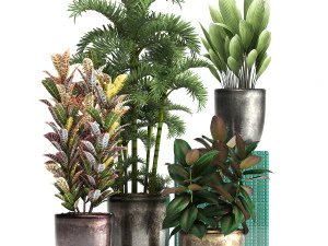 collection exotic plants 353 3D Model