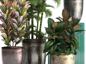 collection exotic plants 353 3D Model