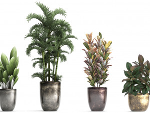 collection exotic plants 353 3D Model