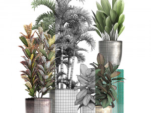 collection exotic plants 353 3D Model