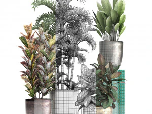 collection exotic plants 353 3D Model