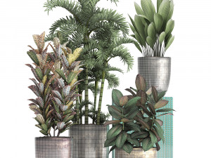 collection exotic plants 353 3D Model