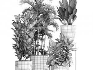 collection exotic plants 353 3D Model
