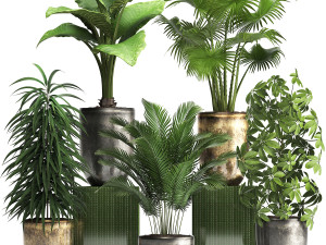 collection exotic plants 354 3Dモデル