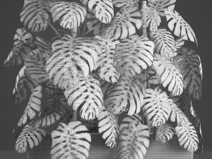 decorative monstera in a pot 10 3D Model