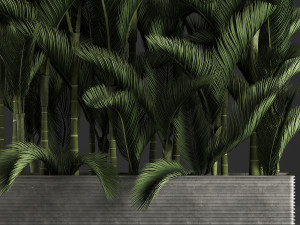 decorative palms dypsis 3 3D-Modell