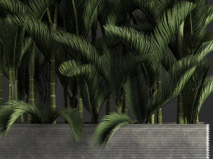 decorative palms dypsis 3 3D Model