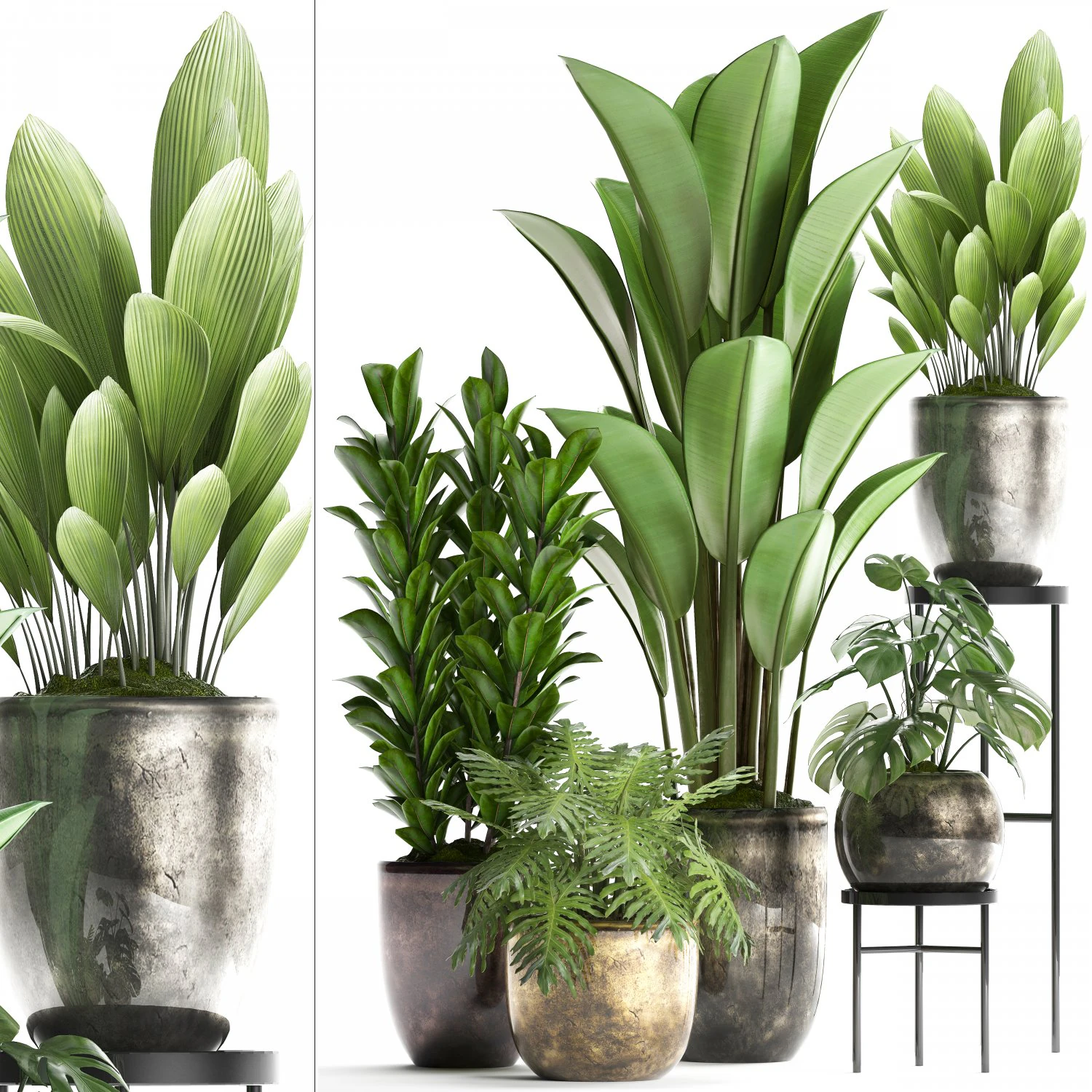 collection exotic plants 361 3D Model .c4d .max .obj .3ds .fbx .stl .blend 