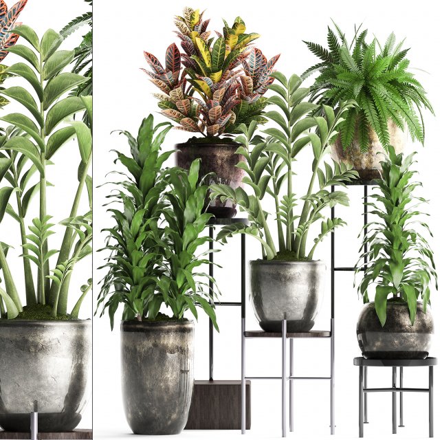 collection exotic plants 362 3D Модель .c4d .max .obj .3ds .fbx .stl .blend 