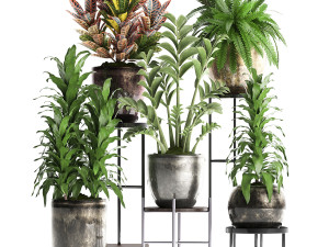 collection exotic plants 362 3D Модель