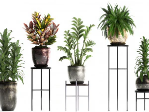 collection exotic plants 362 3D Model