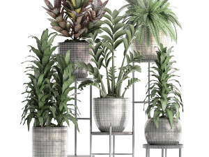 collection exotic plants 362 3D Модель
