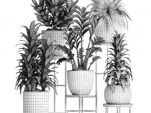 collection exotic plants 362 3D Модель