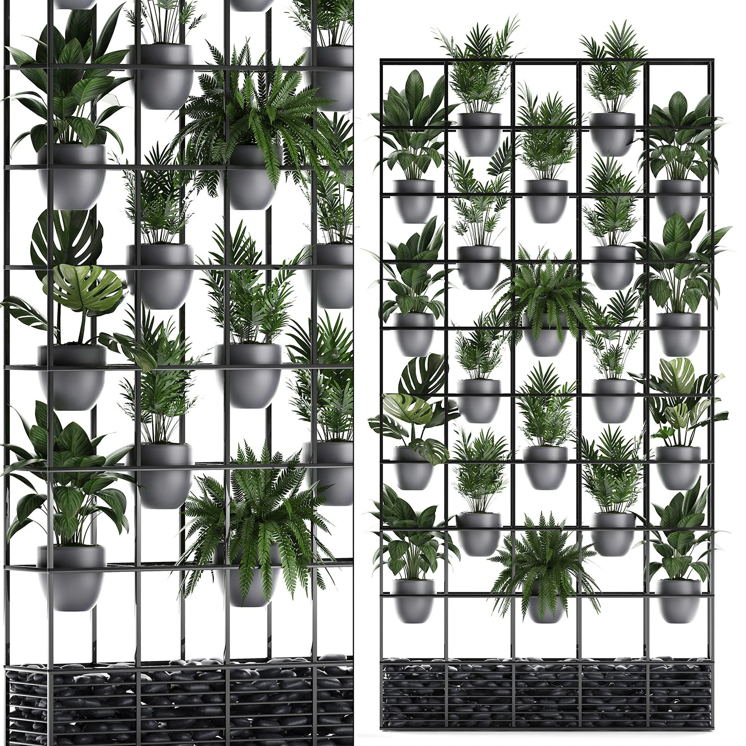 plants collection vertical gardening 25 3D Model .c4d .max .obj .3ds .fbx .stl .blend 