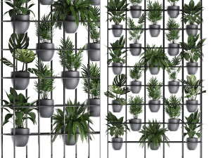 plants collection vertical gardening 25 Model 3D